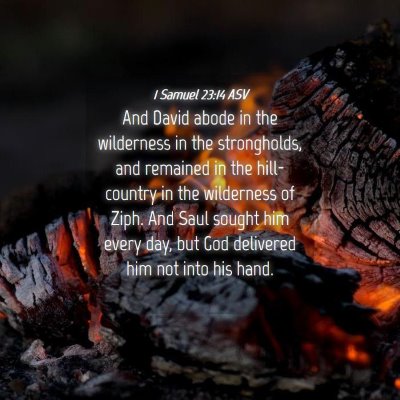Picture 04 - 1 Samuel 23:14 ASV - And David abode in the wilderness in the - Bible Verse Picture
