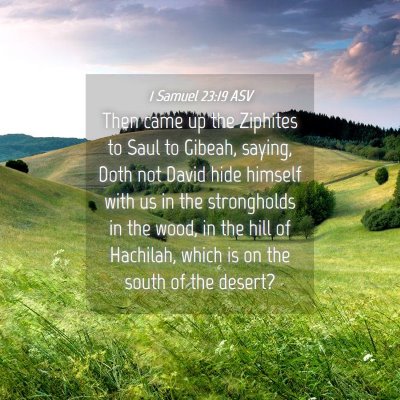 Picture 04 - 1 Samuel 23:19 ASV - Then came up the Ziphites to Saul to Gibeah, - Bible Verse Picture