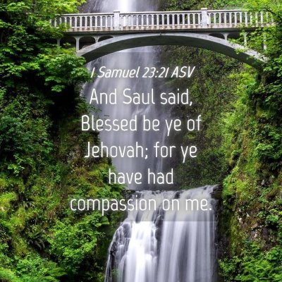 Picture 04 - 1 Samuel 23:21 ASV - And Saul said, Blessed be ye of Jehovah; for ye - Bible Verse Picture