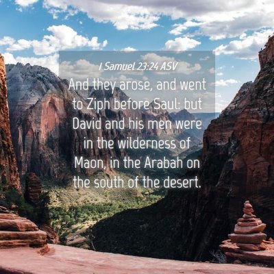 Picture 04 - 1 Samuel 23:24 ASV - And they arose, and went to Ziph before Saul: but - Bible Verse Picture