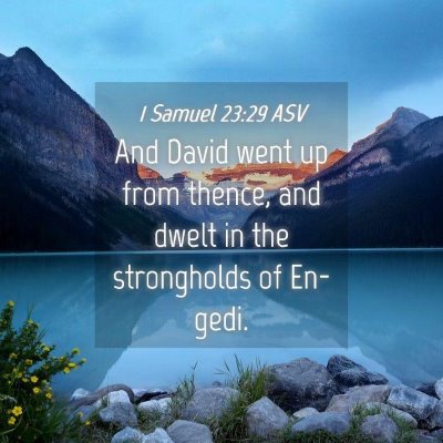 Picture 04 - 1 Samuel 23:29 ASV - And David went up from thence, and dwelt in the - Bible Verse Picture