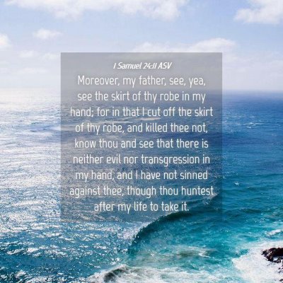 Picture 04 - 1 Samuel 24:11 ASV - Moreover, my father, see, yea, see the skirt of - Bible Verse Picture