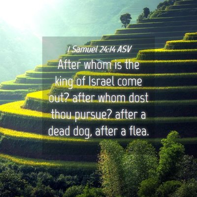 Picture 04 - 1 Samuel 24:14 ASV - After whom is the king of Israel come out? after - Bible Verse Picture
