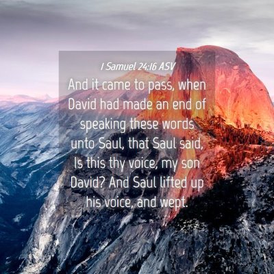 Picture 04 - 1 Samuel 24:16 ASV - And it came to pass, when David had made an end - Bible Verse Picture