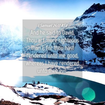 Picture 04 - 1 Samuel 24:17 ASV - And he said to David, Thou art more righteous - Bible Verse Picture