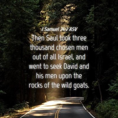 Picture 04 - 1 Samuel 24:2 ASV - Then Saul took three thousand chosen men out of - Bible Verse Picture