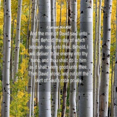 Picture 04 - 1 Samuel 24:4 ASV - And the men of David said unto him, Behold, the - Bible Verse Picture