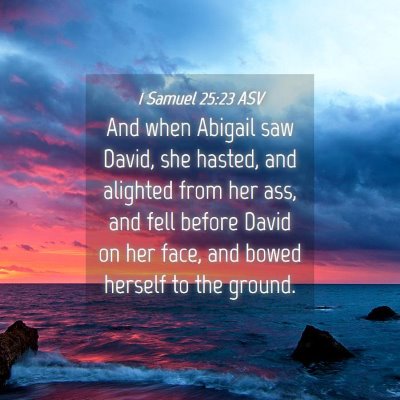 Picture 04 - 1 Samuel 25:23 ASV - And when Abigail saw David, she hasted, and - Bible Verse Picture