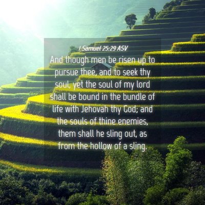 Picture 04 - 1 Samuel 25:29 ASV - And though men be risen up to pursue thee, and to - Bible Verse Picture