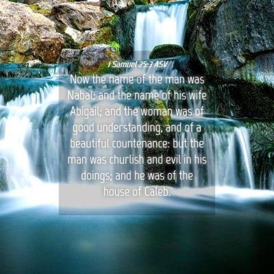 Picture 04 - 1 Samuel 25:3 ASV - Now the name of the man was Nabal; and the name - Bible Verse Picture