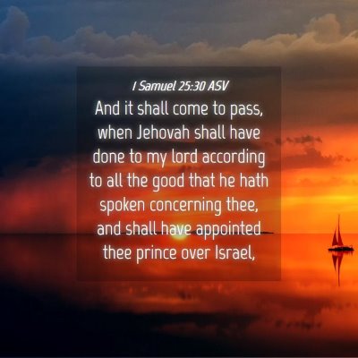 Picture 04 - 1 Samuel 25:30 ASV - And it shall come to pass, when Jehovah shall - Bible Verse Picture