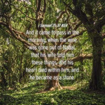 Picture 04 - 1 Samuel 25:37 ASV - And it came to pass in the morning, when the wine - Bible Verse Picture