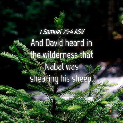 Picture 04 - 1 Samuel 25:4 ASV - And David heard in the wilderness that Nabal was - Bible Verse Picture