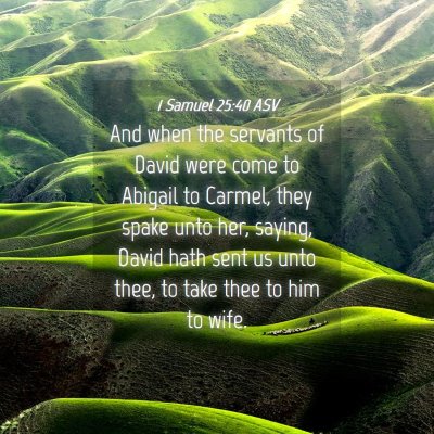 Picture 04 - 1 Samuel 25:40 ASV - And when the servants of David were come to - Bible Verse Picture