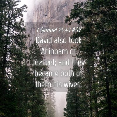 Picture 04 - 1 Samuel 25:43 ASV - David also took Ahinoam of Jezreel; and they - Bible Verse Picture