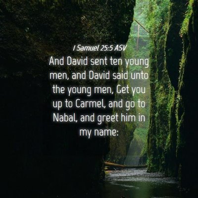 Picture 04 - 1 Samuel 25:5 ASV - And David sent ten young men, and David said unto - Bible Verse Picture