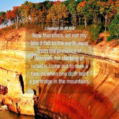 Picture 04 - 1 Samuel 26:20 ASV - Now therefore, let not my blood fall to the earth - Bible Verse Picture