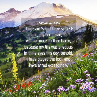Picture 04 - 1 Samuel 26:21 ASV - Then said Saul, I have sinned: return, my son - Bible Verse Picture