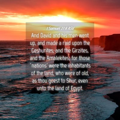 Picture 04 - 1 Samuel 27:8 ASV - And David and his men went up, and made a raid - Bible Verse Picture