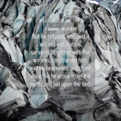 Picture 04 - 1 Samuel 28:23 ASV - But he refused, and said, I will not eat. But his - Bible Verse Picture