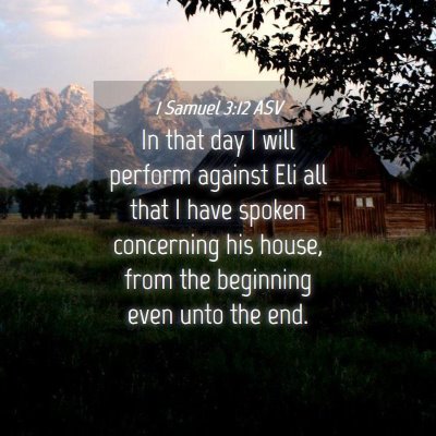Picture 04 - 1 Samuel 3:12 ASV - In that day I will perform against Eli all that I - Bible Verse Picture