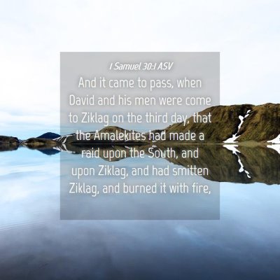 Picture 04 - 1 Samuel 30:1 ASV - And it came to pass, when David and his men were - Bible Verse Picture