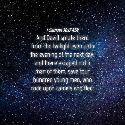 Picture 04 - 1 Samuel 30:17 ASV - And David smote them from the twilight even unto - Bible Verse Picture