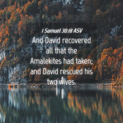Picture 04 - 1 Samuel 30:18 ASV - And David recovered all that the Amalekites had - Bible Verse Picture