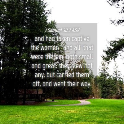 Picture 04 - 1 Samuel 30:2 ASV - and had taken captive the women `and all' that - Bible Verse Picture