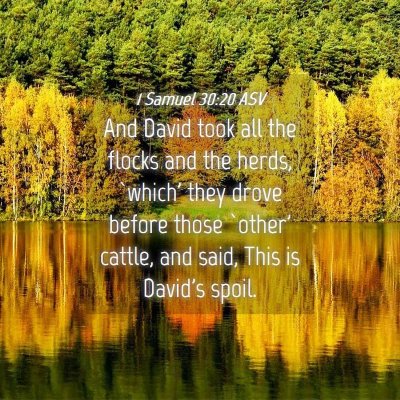 Picture 04 - 1 Samuel 30:20 ASV - And David took all the flocks and the herds, - Bible Verse Picture