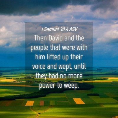 Picture 04 - 1 Samuel 30:4 ASV - Then David and the people that were with him - Bible Verse Picture