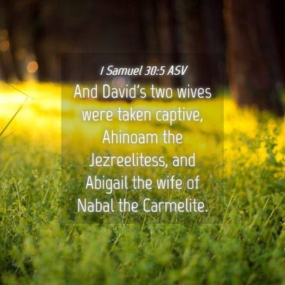 Picture 04 - 1 Samuel 30:5 ASV - And David's two wives were taken captive, Ahinoam - Bible Verse Picture
