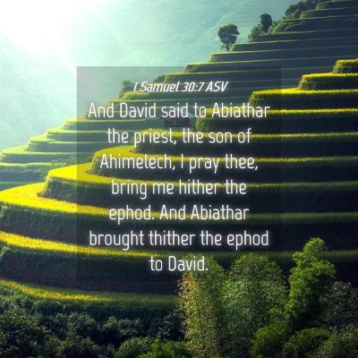 Picture 04 - 1 Samuel 30:7 ASV - And David said to Abiathar the priest, the son of - Bible Verse Picture