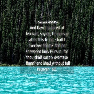 Picture 04 - 1 Samuel 30:8 ASV - And David inquired of Jehovah, saying, If I - Bible Verse Picture