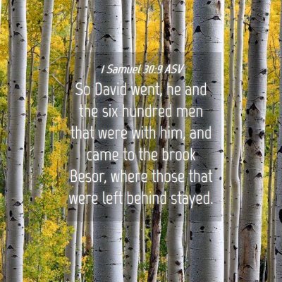Picture 04 - 1 Samuel 30:9 ASV - So David went, he and the six hundred men that - Bible Verse Picture