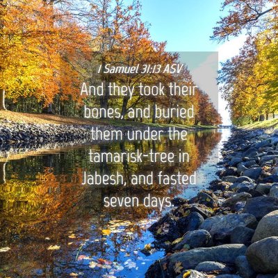 Picture 04 - 1 Samuel 31:13 ASV - And they took their bones, and buried them under - Bible Verse Picture