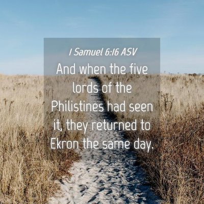 Picture 04 - 1 Samuel 6:16 ASV - And when the five lords of the Philistines had - Bible Verse Picture