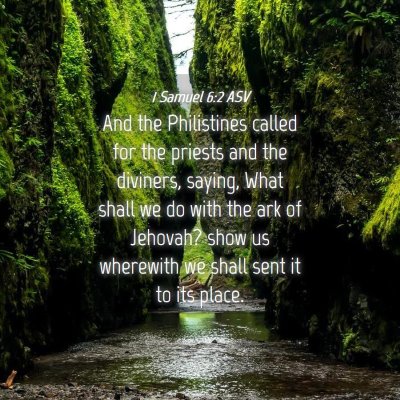 Picture 04 - 1 Samuel 6:2 ASV - And the Philistines called for the priests and - Bible Verse Picture