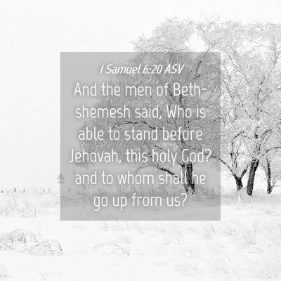 Picture 04 - 1 Samuel 6:20 ASV - And the men of Beth-shemesh said, Who is able to - Bible Verse Picture