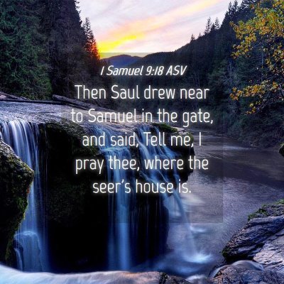 Picture 04 - 1 Samuel 9:18 ASV - Then Saul drew near to Samuel in the gate, and - Bible Verse Picture