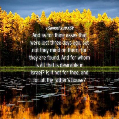 Picture 04 - 1 Samuel 9:20 ASV - And as for thine asses that were lost three days - Bible Verse Picture