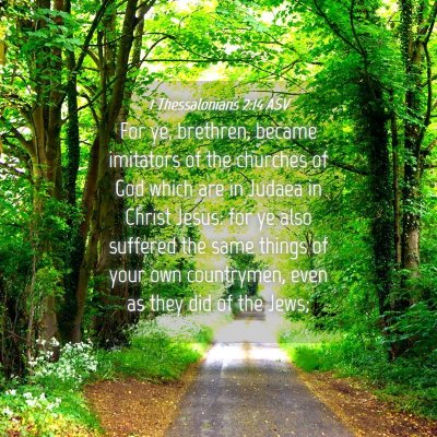 Picture 04 - 1 Thessalonians 2:14 ASV - For ye, brethren, became imitators of the - Bible Verse Picture
