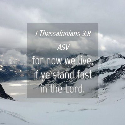 Picture 04 - 1 Thessalonians 3:8 ASV - for now we live, if ye stand fast in the - Bible Verse Picture