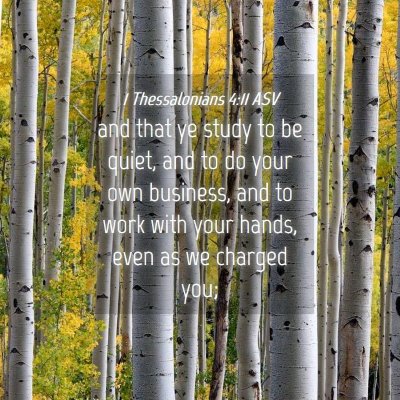 Picture 04 - 1 Thessalonians 4:11 ASV - and that ye study to be quiet, and to do your own - Bible Verse Picture
