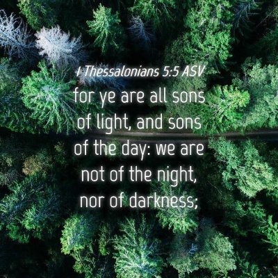 Picture 04 - 1 Thessalonians 5:5 ASV - for ye are all sons of light, and sons of the - Bible Verse Picture