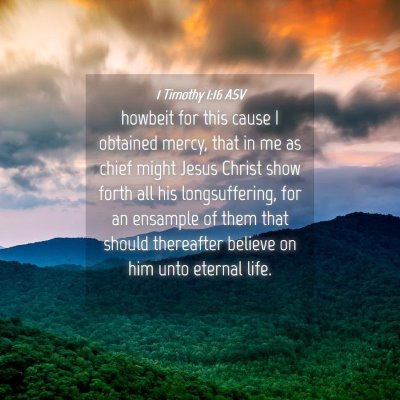 Picture 04 - 1 Timothy 1:16 ASV - howbeit for this cause I obtained mercy, that in - Bible Verse Picture