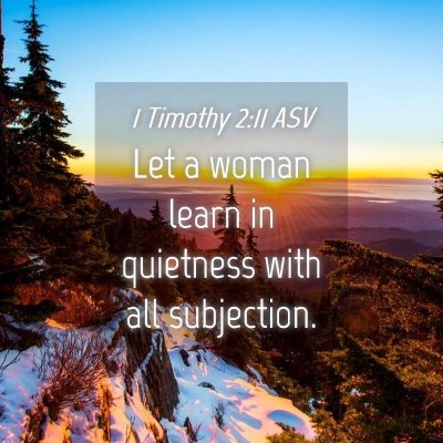 Picture 04 - 1 Timothy 2:11 ASV - Let a woman learn in quietness with all - Bible Verse Picture