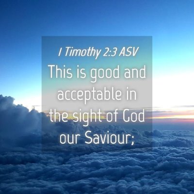 Picture 04 - 1 Timothy 2:3 ASV - This is good and acceptable in the sight of God - Bible Verse Picture