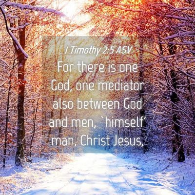 Picture 04 - 1 Timothy 2:5 ASV - For there is one God, one mediator also between - Bible Verse Picture