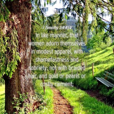 Picture 04 - 1 Timothy 2:9 ASV - In like manner, that women adorn themselves in - Bible Verse Picture